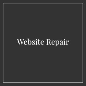 Website Repair Services
